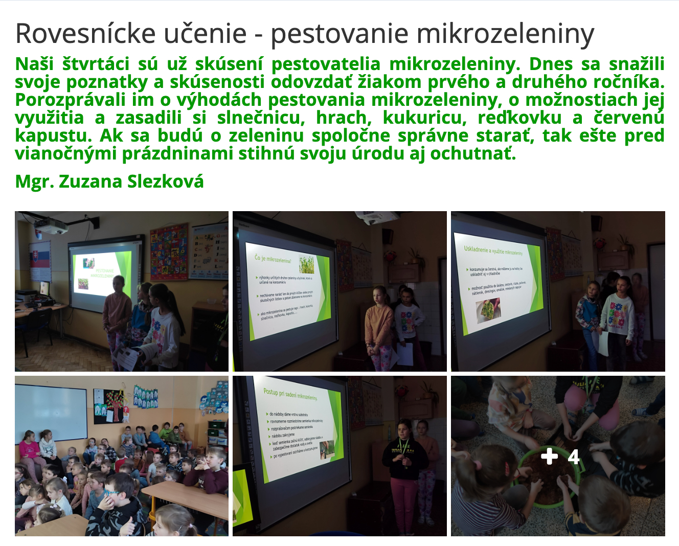 Zo škôl 12